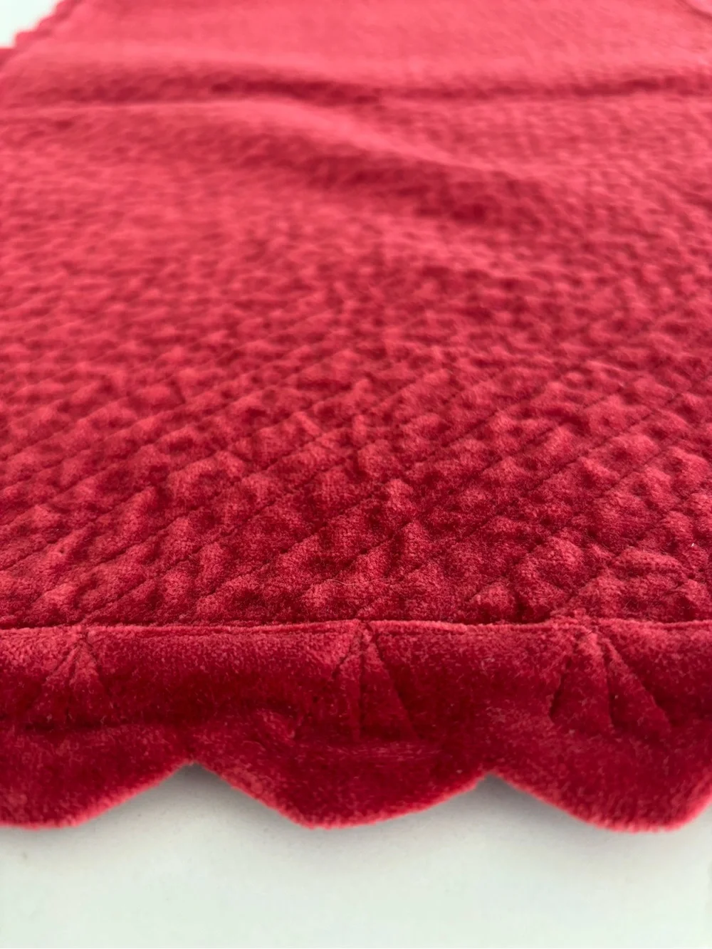 Williams Sonoma plush velvet